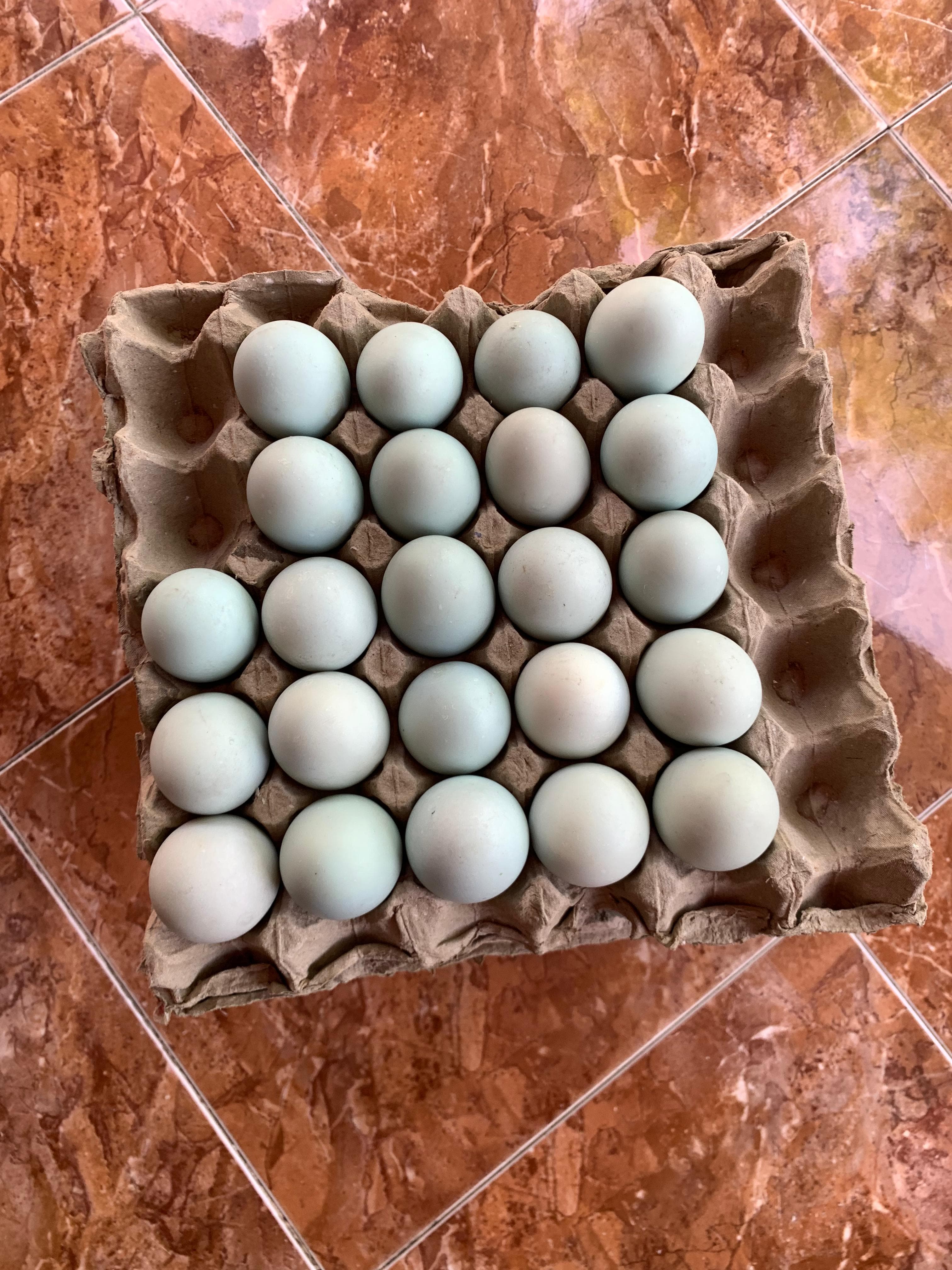Telur Asin produksi Ibu Yeni