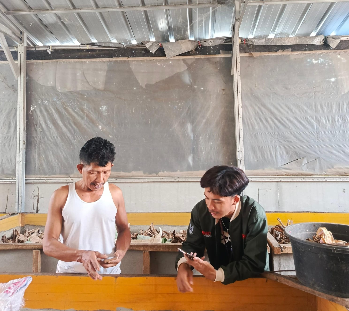 Budidaya Jangkrik