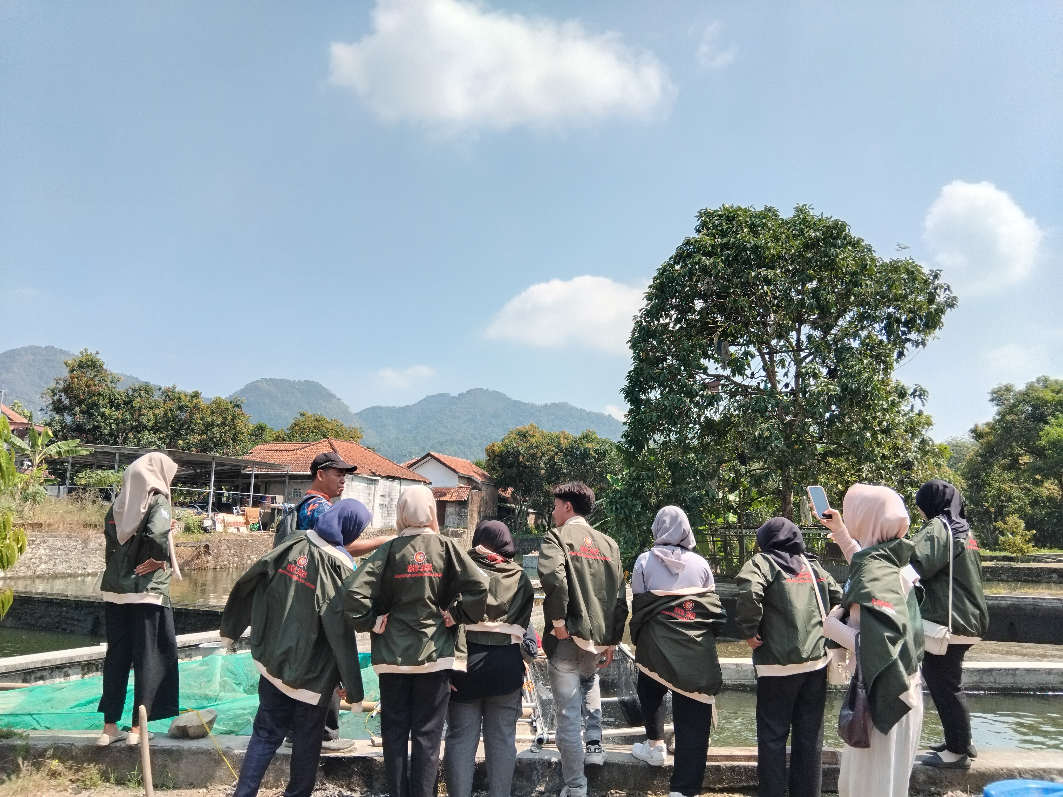 Budidaya Ikan Lele